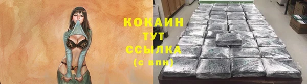 СК Балахна
