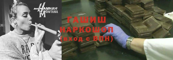 хмурый Белокуриха