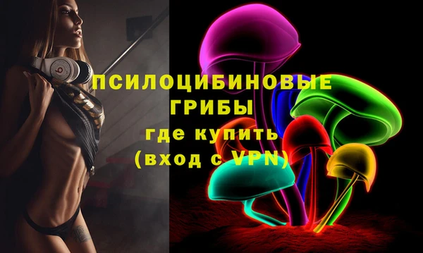 стаф Баксан